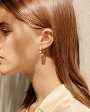 Load image into Gallery viewer, Edblad Margot Hoops L Gold
