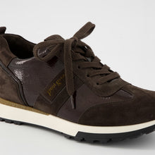 Load image into Gallery viewer, Paul Green 5392 in Brown
