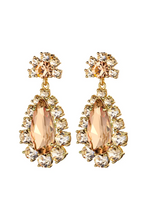Load image into Gallery viewer, Dyrberg/Kern Lucia Earring
